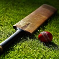 Cricket